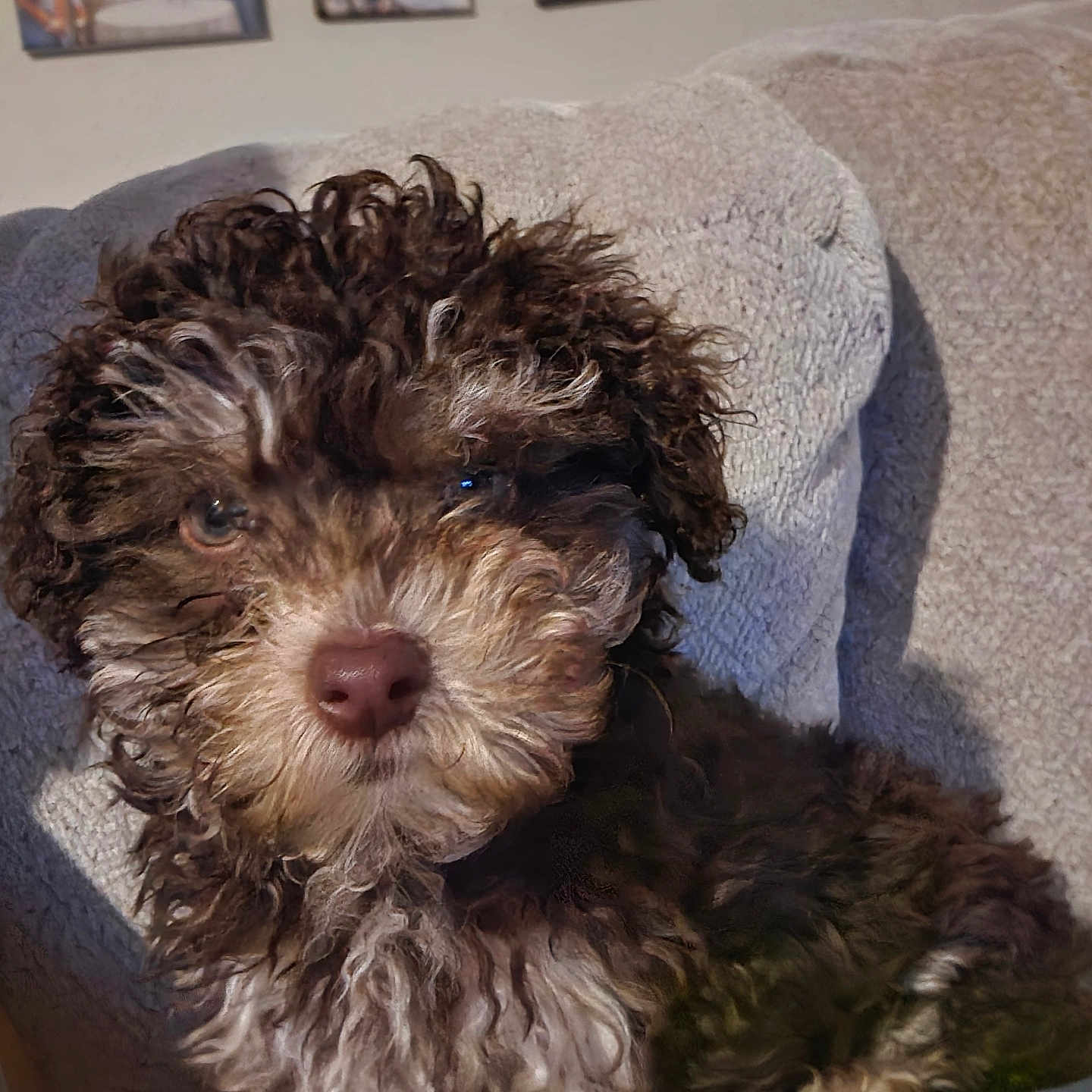 Milo