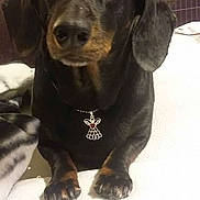 Sassy is registered to the contest to win money with this photo: