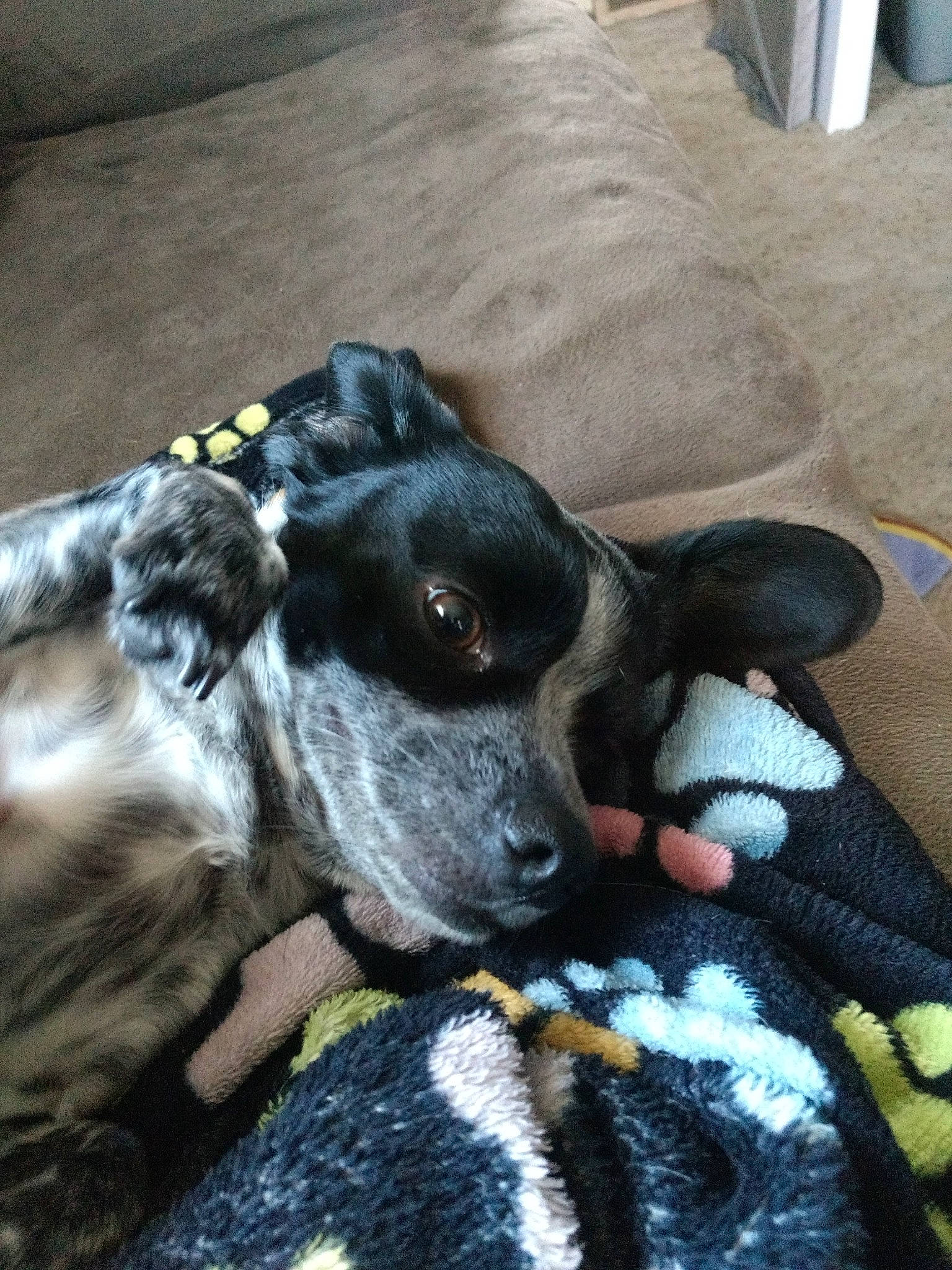 Patches