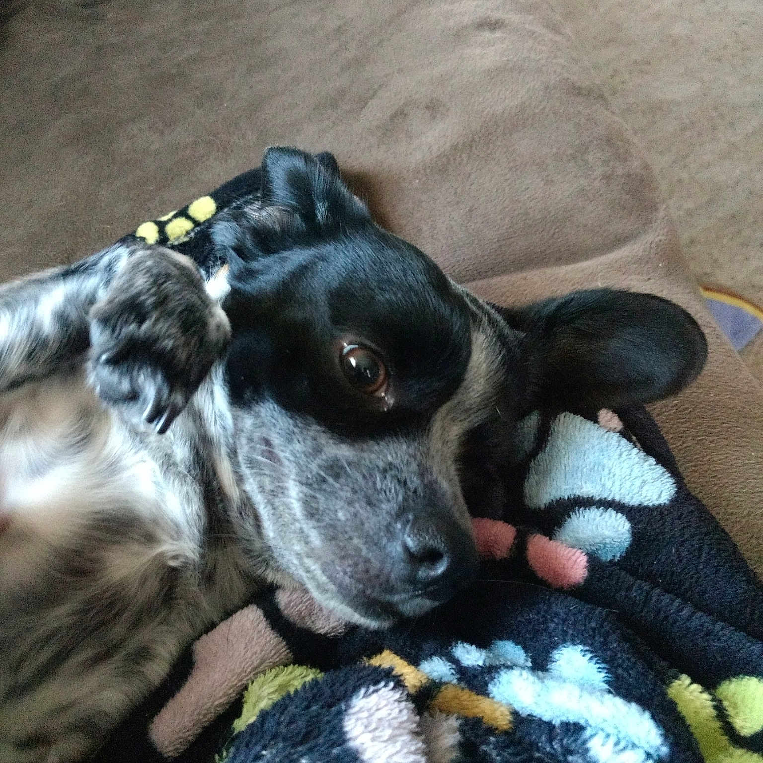 Patches