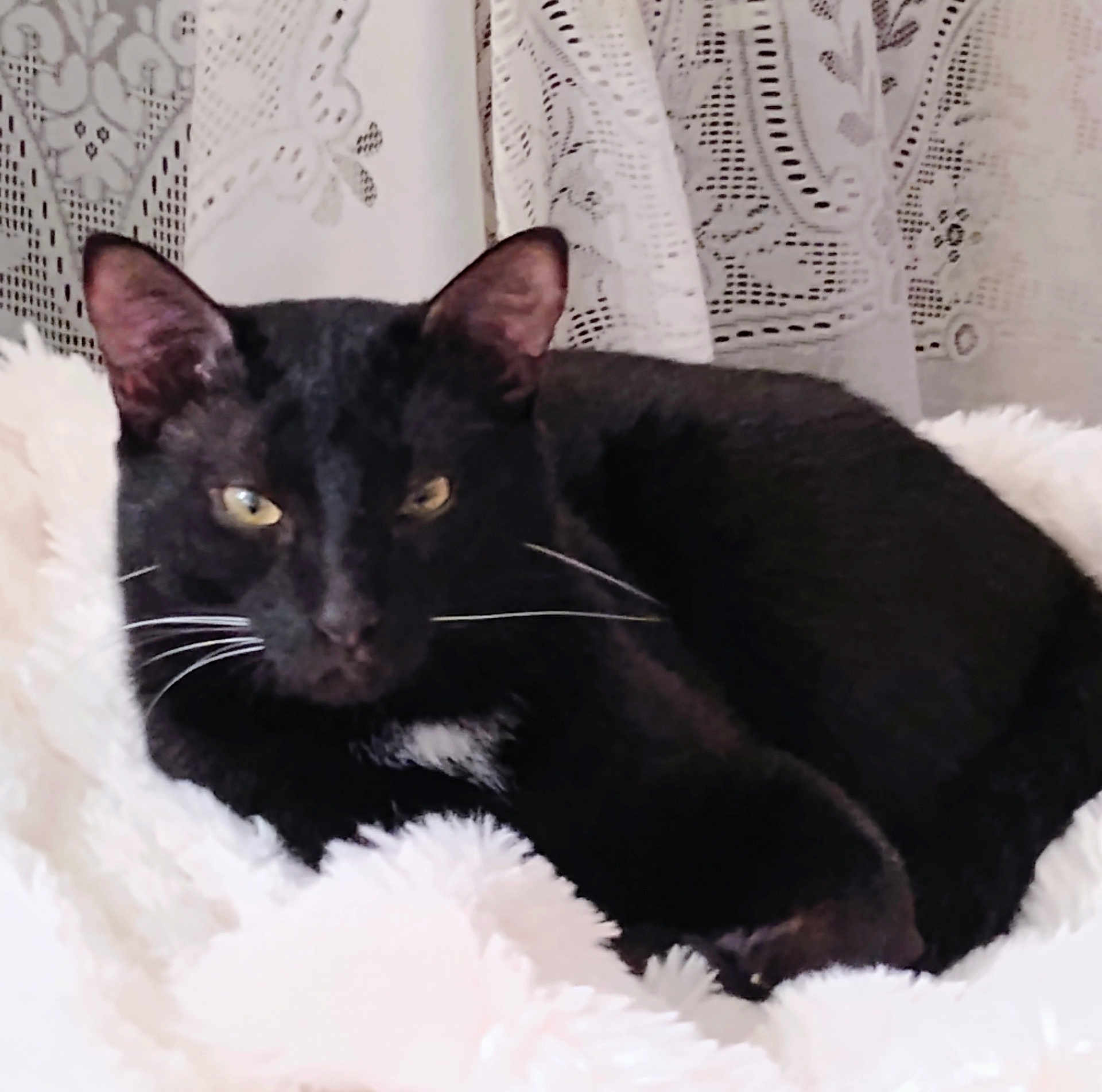 Binx