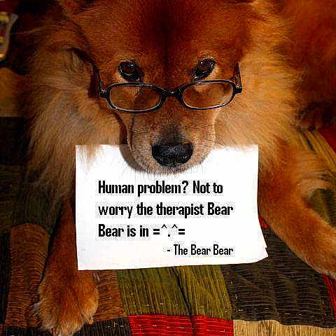 The Bear Bear joined the competition — help win amazing prizes!