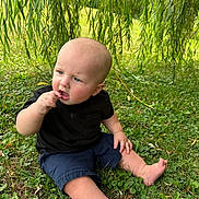 Nolan is registered to the contest to win money with this photo: baby, child, grass, greenery, outdoor, willow_tree, nature, sitting, curious, thoughtful, barefoot, black_shirt, blue_shorts, summer, sunlight, leaves, portrait, cute, infant, park