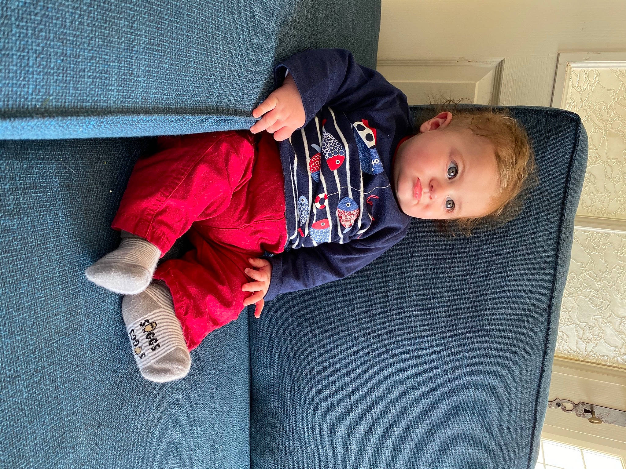 Arsène a rejoint le concours — aidez-le/la à gagner de superbes lots ! baby, baby_toddler_clothing, child, comfort, person, picture_frame, pocket, sneakers, sock, toddler, walking_shoe