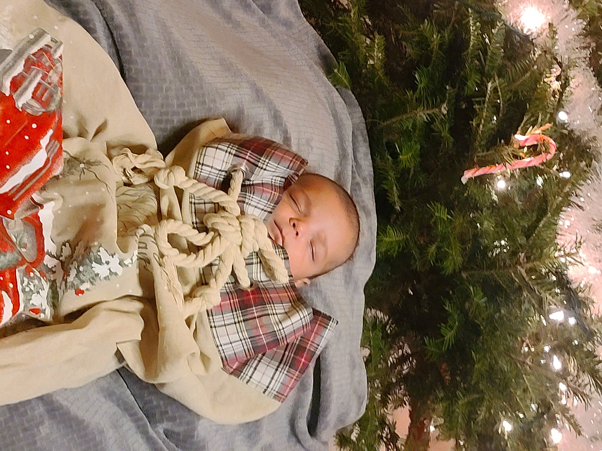 Dominick is registered to the contest to win money with this photo: baby, child, christmas, christmas_decoration, christmas_eve, christmas_ornament, christmas_tree, event, evergreen, grass, happy, holiday, holiday_ornament, mammal, organ, ornament, person, plant, toddler, tree