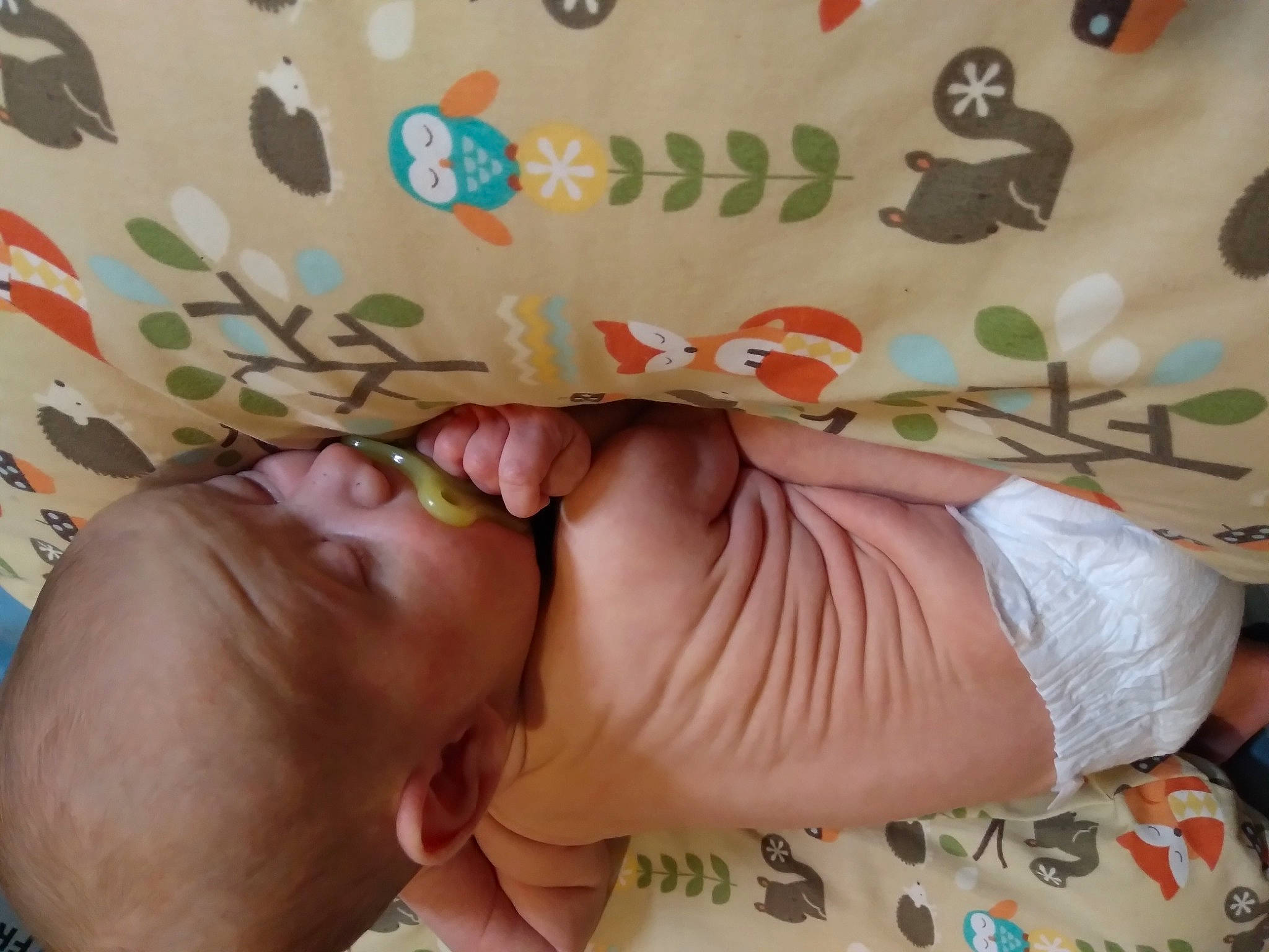 Kyzer is registered to the contest to win money with this photo: baby, barefoot, child, comfort, finger, foot, gesture, happy, human_body, human_leg, knee, leg, leisure, linens, nail, person, pink, skin, thigh, thumb