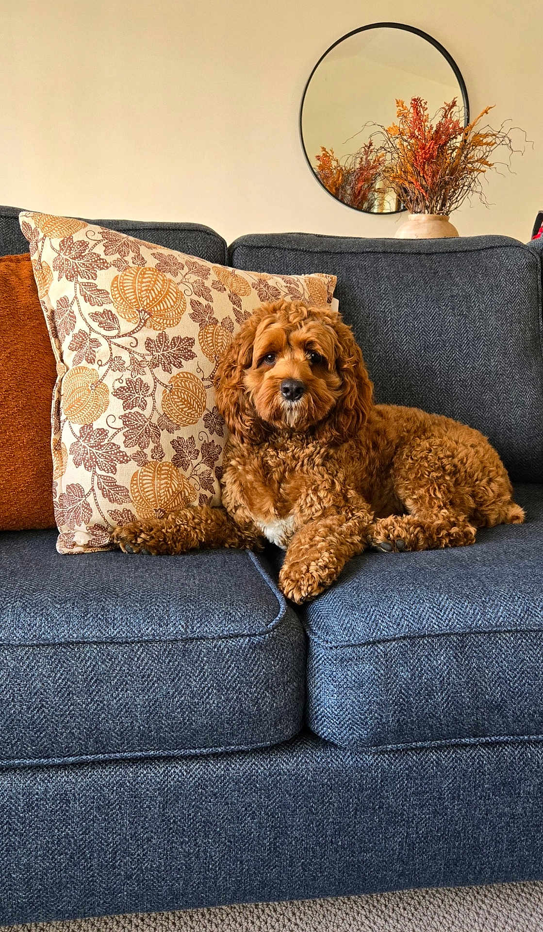 Roscoe