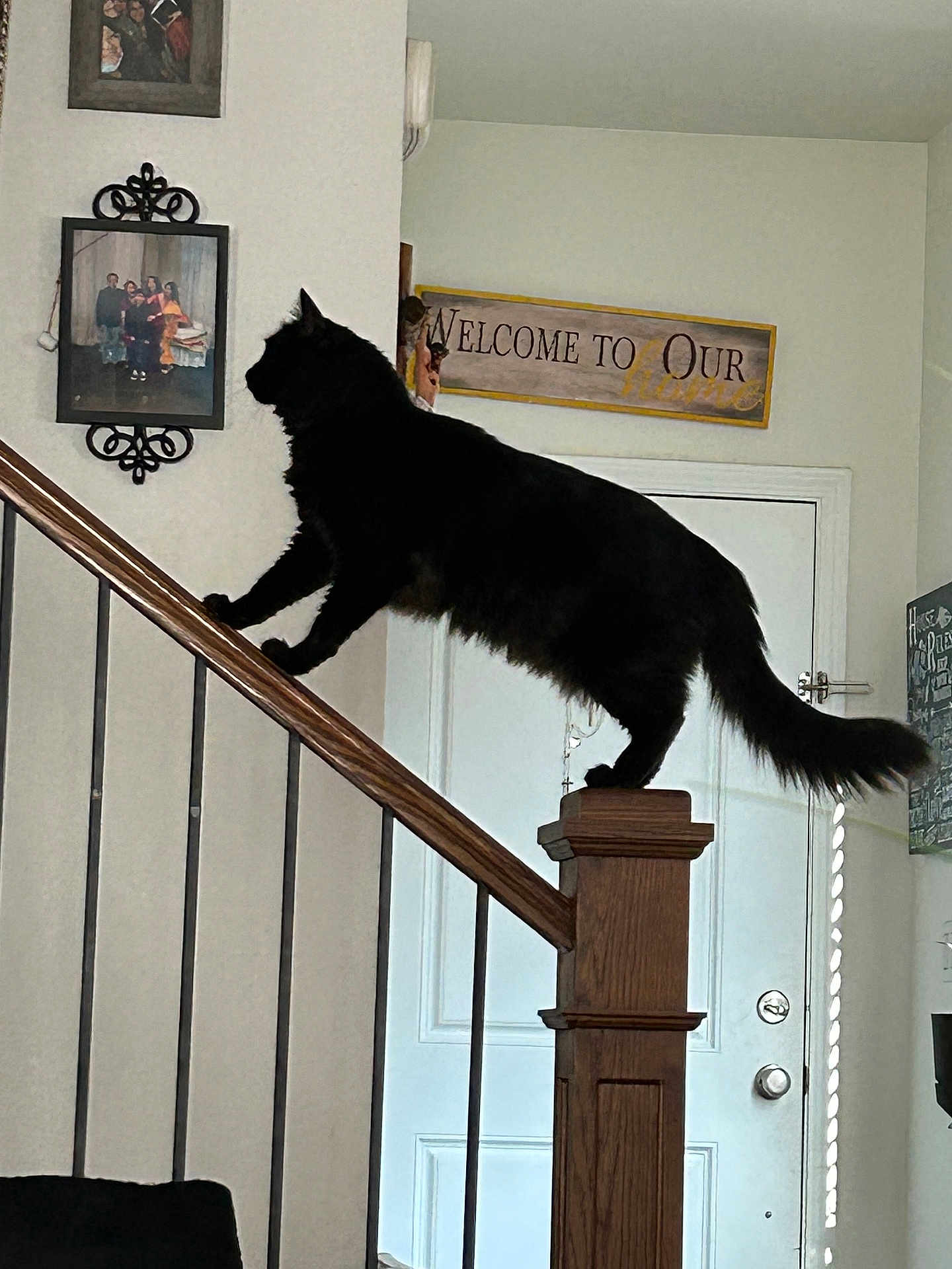 Milo