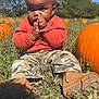 Jayceveon is registered to the contest to win money with this photo: toddler, child, pumpkin, pumpkin_patch, outdoor, grass, trees, blue_sky, orange_sweater, camouflage_pants, boots, cute, curious, nature, fall, autumn, sunny, baby, person, sitting