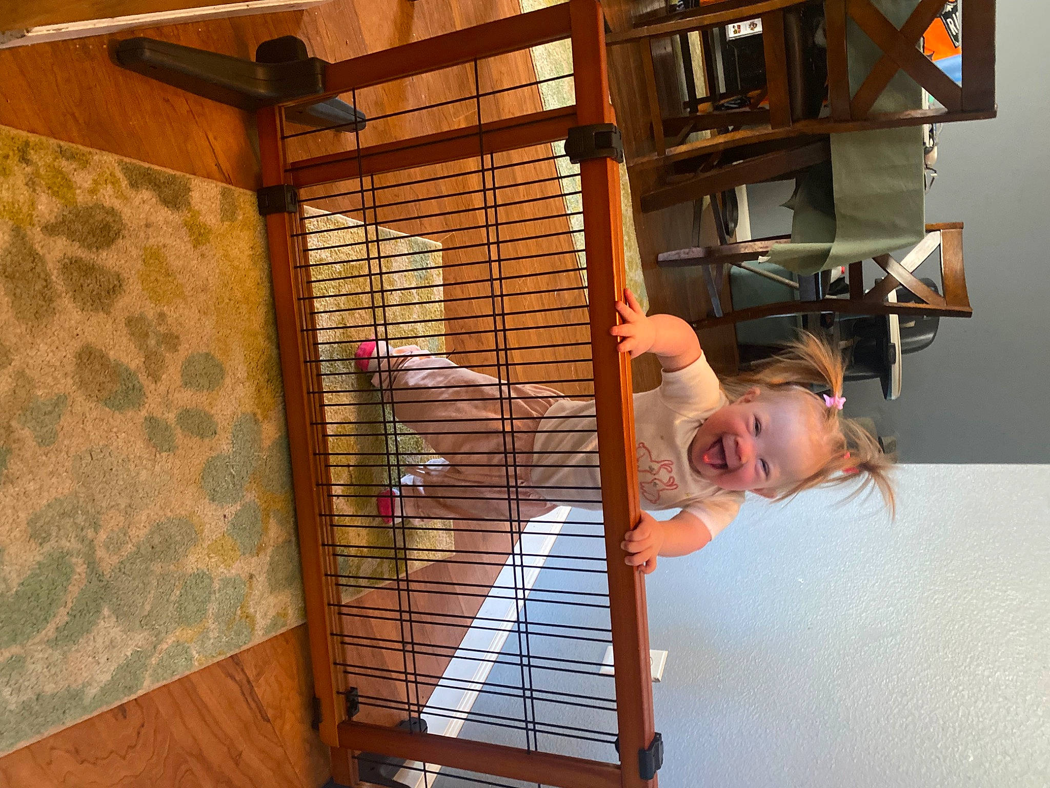 Mariah is registered to the contest to win money with this photo: architecture, building, cage, ceiling, comfort, daylighting, flooring, handrail, hardwood, house, interior_design, leisure, metal, pattern, person, room, shelf, wall, window_covering, window_treatment