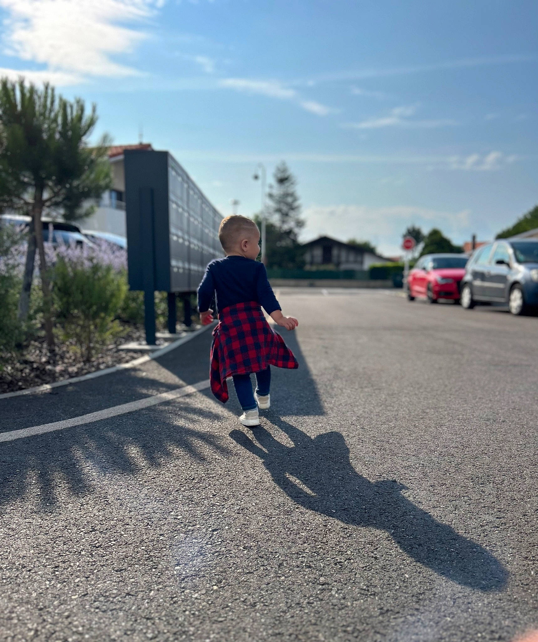 Diego a rejoint le concours — aidez-le/la à gagner de superbes lots ! asphalt, automotive_lighting, automotive_tire, car, city, cloud, dress, landscape, person, plaid, plant, road, road_surface, sidewalk, sky, tar, thoroughfare, tints_and_shades, toddler, tree