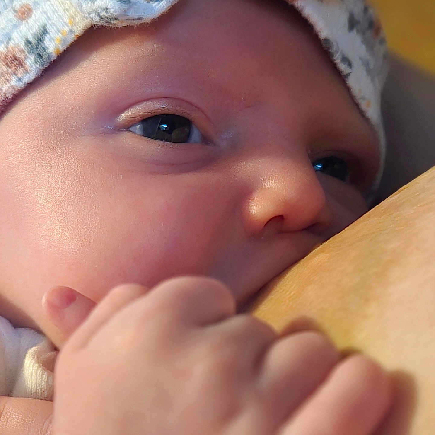 Lilith joined the competition — help win amazing prizes! baby, infant, child, close_up, portrait, face, eyes, hand, fingers, hat, blanket, clothing, cozy, indoors, soft_lighting, wood, gripping, curious, sleepy, photography
