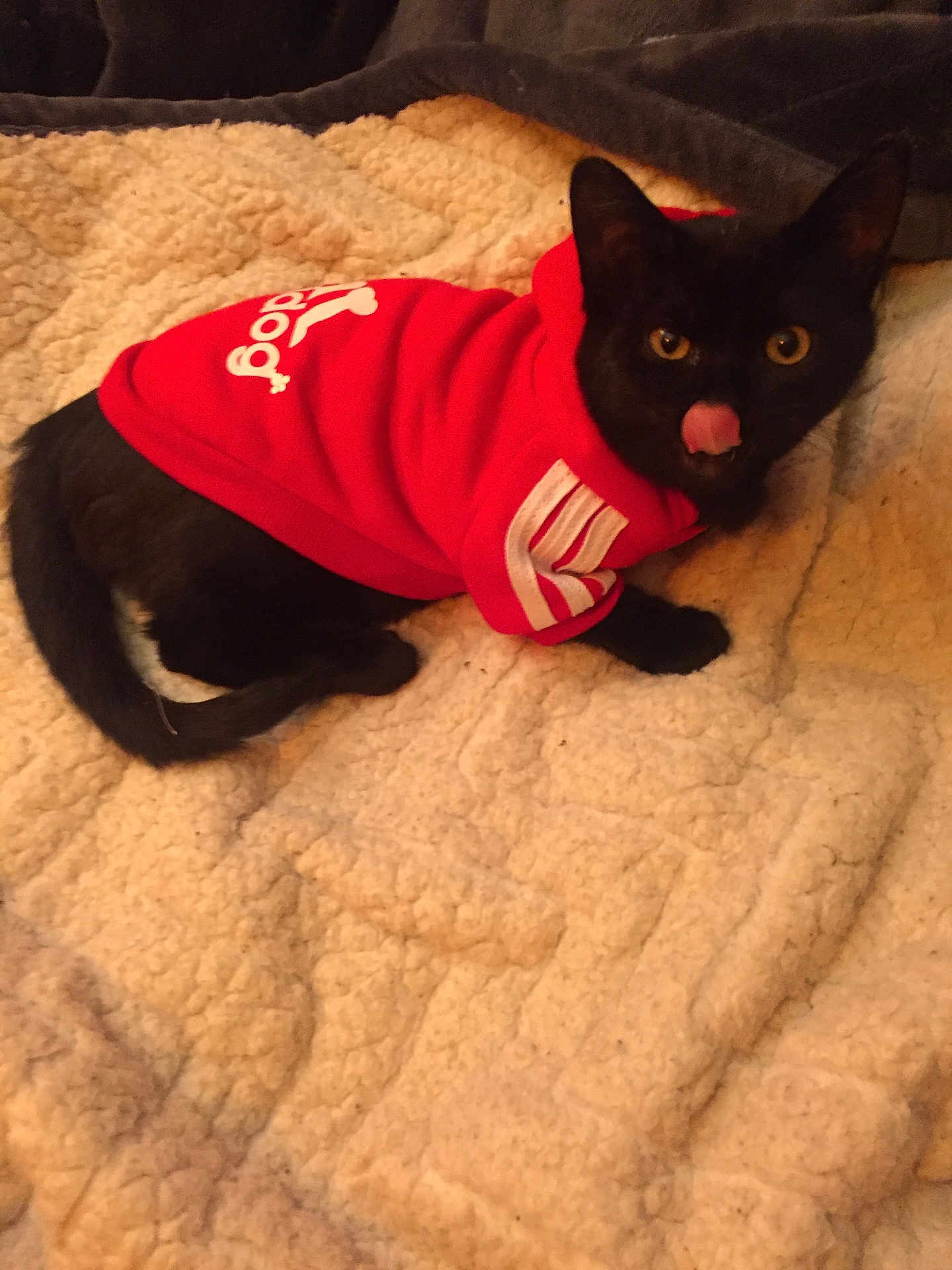 Coco