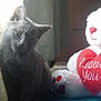 adorable, animal, blue_surface, cat, cozy, curtain, cute, feline, gray_cat, heart, indoor, kitten, love_message, pet, sitting, soft_toy, stuffed_animal, teddy_bear, tilted_head, young_cat