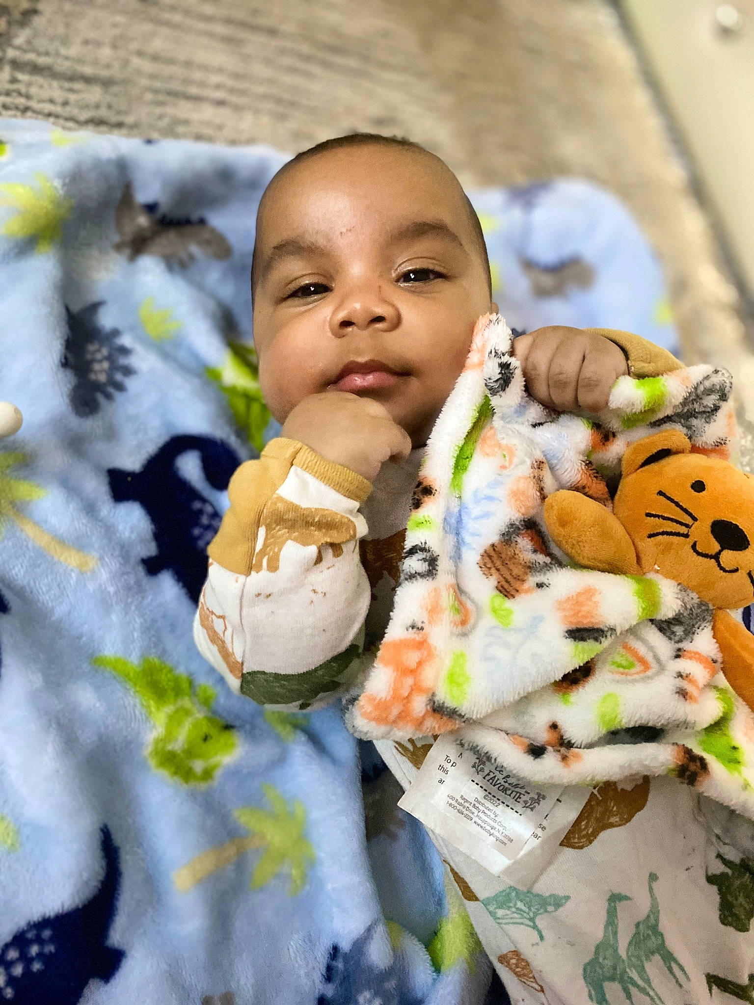 Amir joined the competition — help win amazing prizes! baby, baby_products, baby_toddler_clothing, child, face, fun, fur, grass, happy, head, jacket, linens, outerwear, pattern, person, product, sitting, skin, sleeve, smile