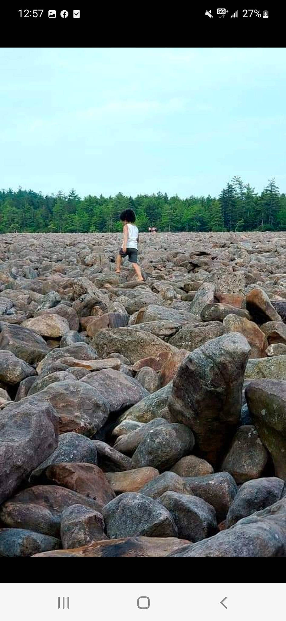 Aiyana is registered to the contest to win money with this photo: bedrock, cloud, cobblestone, geology, grass, gravel, horizon, landscape, natural_landscape, outcrop, pebble, person, plant, rock, rubble, sky, soil, stone_wall, tree, wood