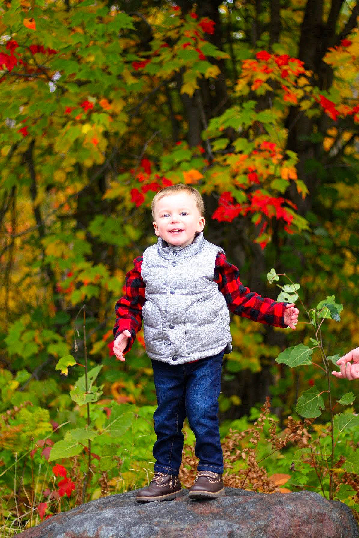 Zyler joined the competition — help win amazing prizes! autumn, botany, child, family, flower, happy, joy, leaf, people_in_nature, person, photography, plant, portrait_photography, red, smile, toddler, tree