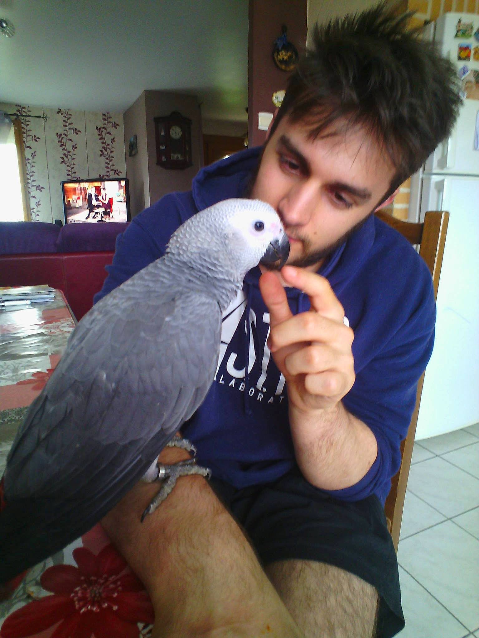 Louna participe au concours pour gagner de l'argent avec cette photo : arm, beak, bird, cockatoo, common_pet_parakeet, finger, lovebird, macaw, neck, parakeet, parrot, person, vertebrate