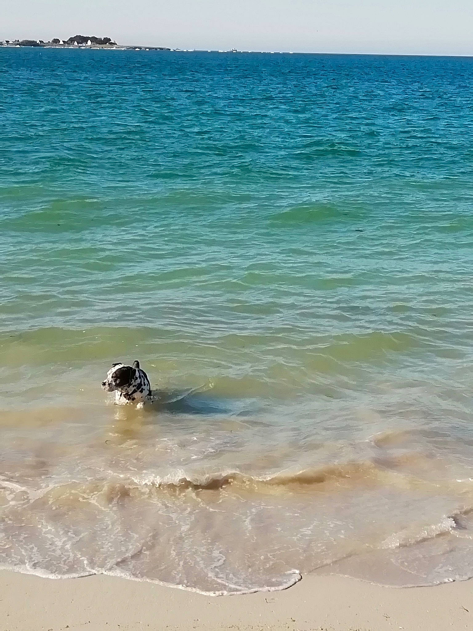 Tayson participe au concours pour gagner de l'argent avec cette photo : bay, beach, coast, coastal_and_oceanic_landforms, ocean, sand, sea, shore, sporting_group, summer, tropics, vacation, water, wave, wind_wave