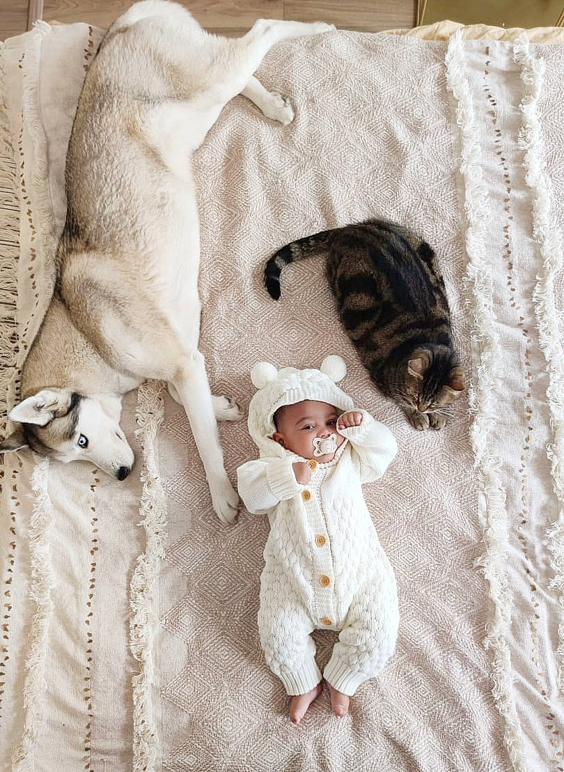 Maëlan participe au concours pour gagner de l'argent avec cette photo : baby_toddler_clothing, bedding, canidae, carnivore, comfort, companion_dog, couch, fawn, fedora, felidae, fur, headwear, linens, outerwear, pattern, person, room, sleeve, small_to_medium_sized_cats, t_shirt