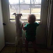 Ethan is registered to the contest to win money with this photo: toddler, dog, window, indoor, standing, curious, back_view, light, shadow, floor, door, pet, child, animal, companionship, home, daylight, curtainless_window, curiosity, silhouette
