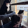 cat, cats, tuxedo_cat, black_and_white, window, window_blinds, indoors, cat_tree, pet, feline, sitting, profile, whiskers, green_eyes, sunlight, portrait, home, looking_out_window, fur, animal