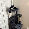 cat, tuxedo_cat, pet, animal, feline, black_and_white, yellow_eyes, sitting, lounging, cat_tree, scratching_post, pet_furniture, hanging_toy, toy_mouse, indoor, room, closet_door, carpet, food_bowl, home_decor