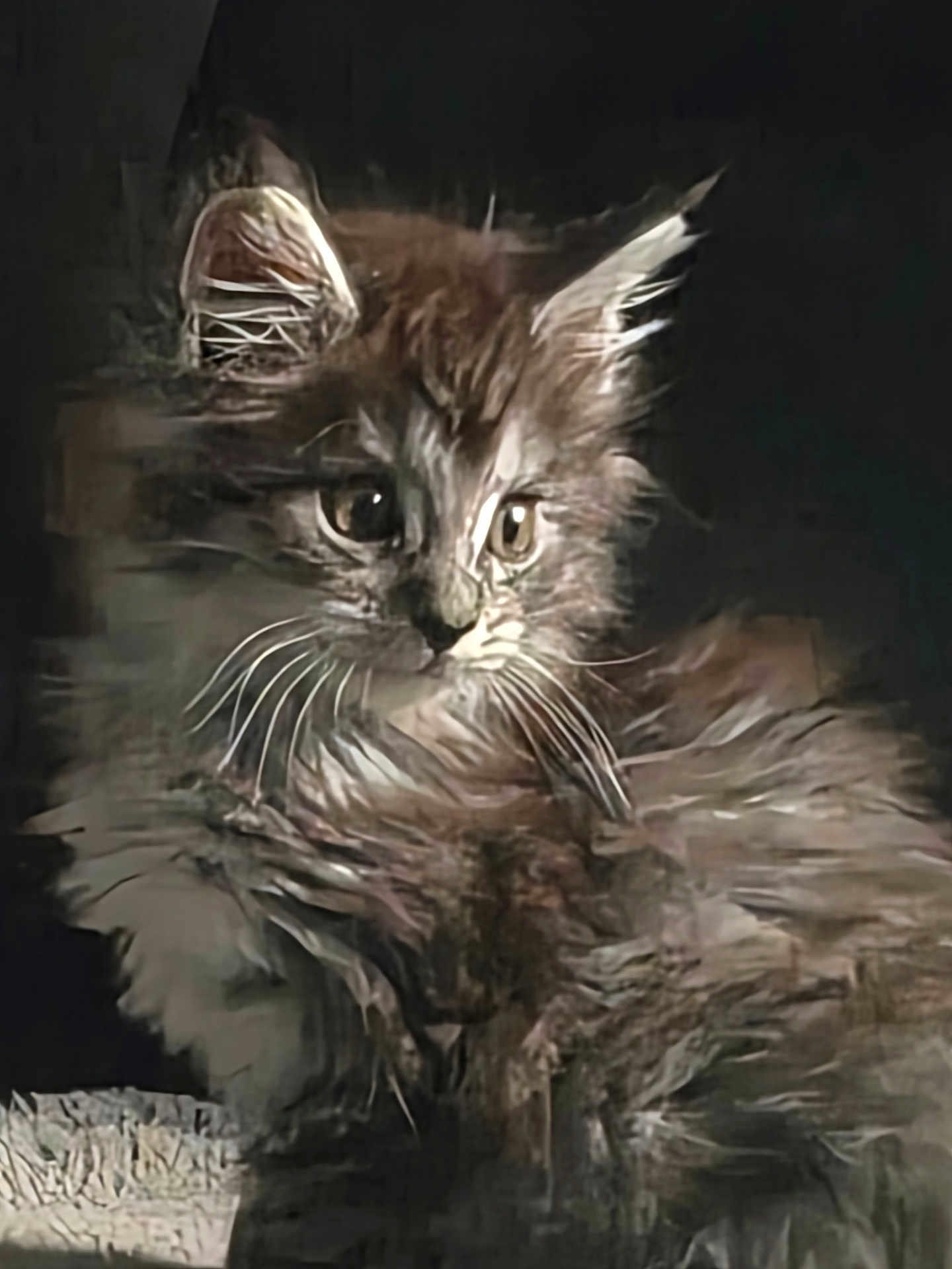 Loki