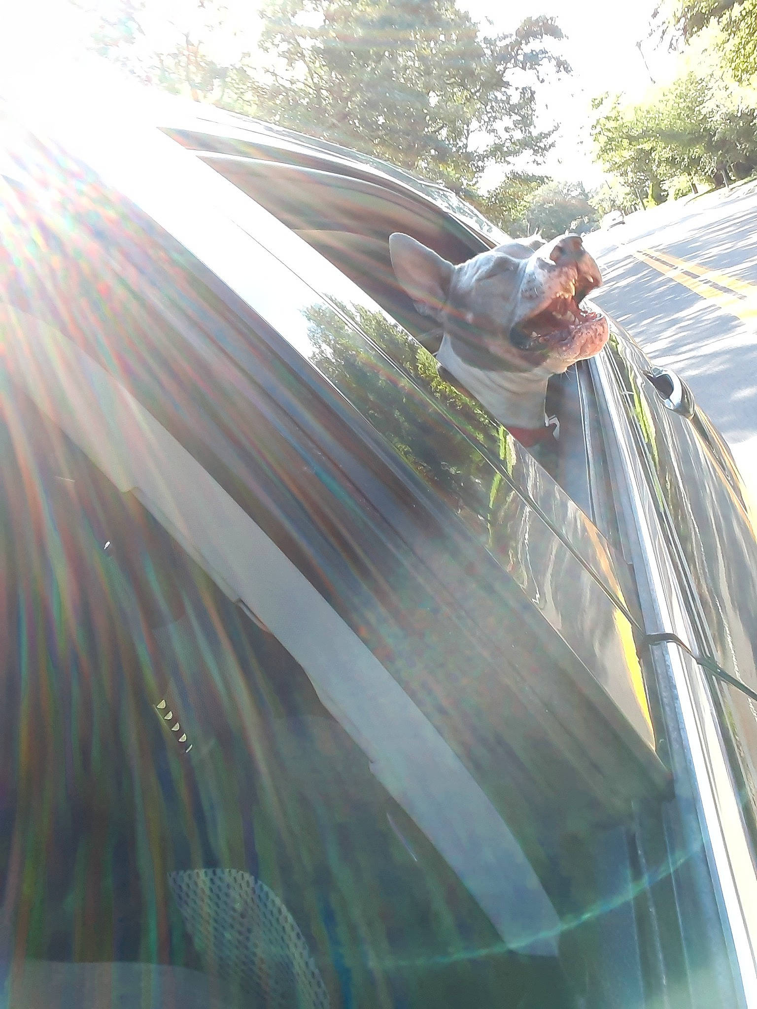 Kiara is registered to the contest to win money with this photo: