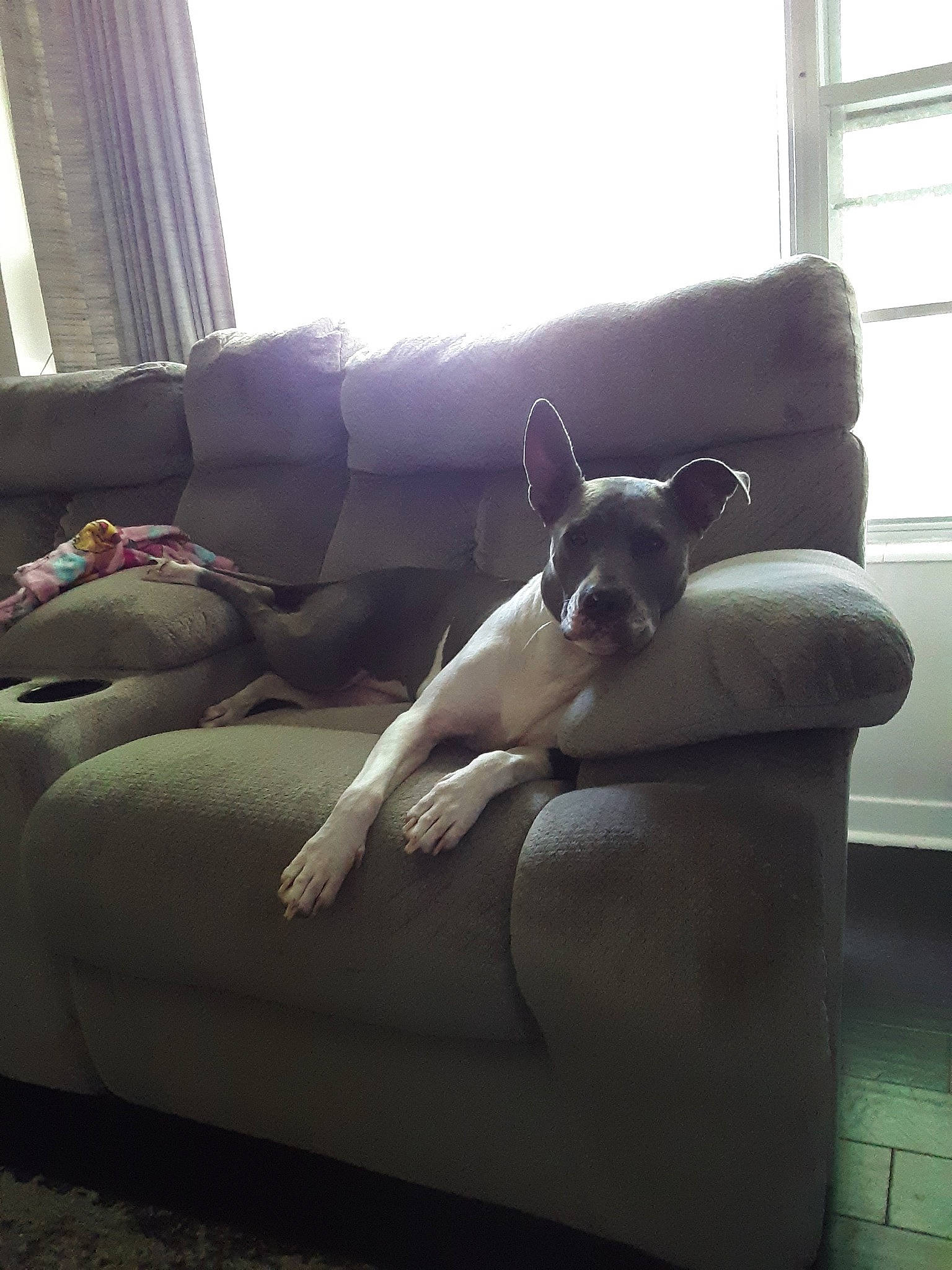 Kiara is registered to the contest to win money with this photo: