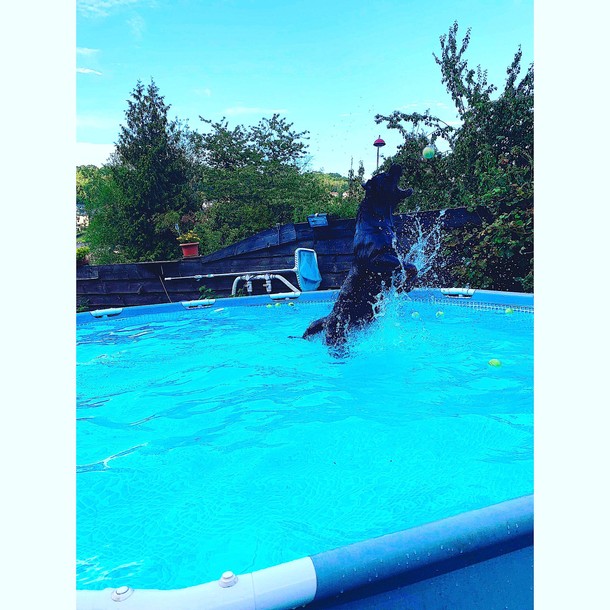 Outch participe au concours pour gagner de l'argent avec cette photo : azure, chair, competition_event, electric_blue, individual_sports, leisure, leisure_centre, ocean, personal_protective_equipment, plant, recreation, rectangle, sky, sports, square, swimmer, swimming_pool, tree, water, water_sport