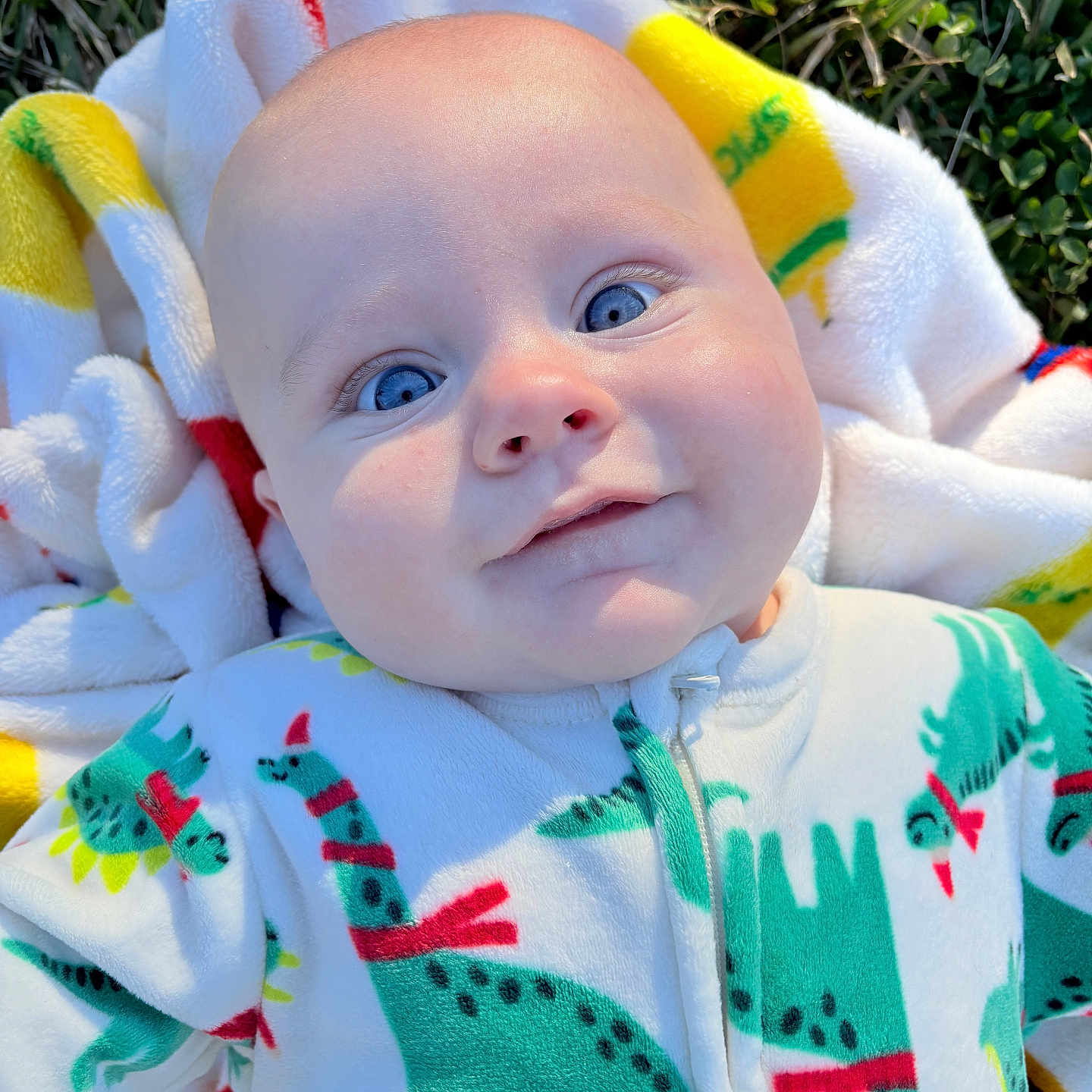 Brewer is registered to the contest to win money with this photo: baby, baby_clothes, blanket, blue_eyes, cheek, close_up, cozy, dinosaur_print, face, grass, happy, head, infant, onesie, outdoors, portrait, skin, smiling, sunlight, towel