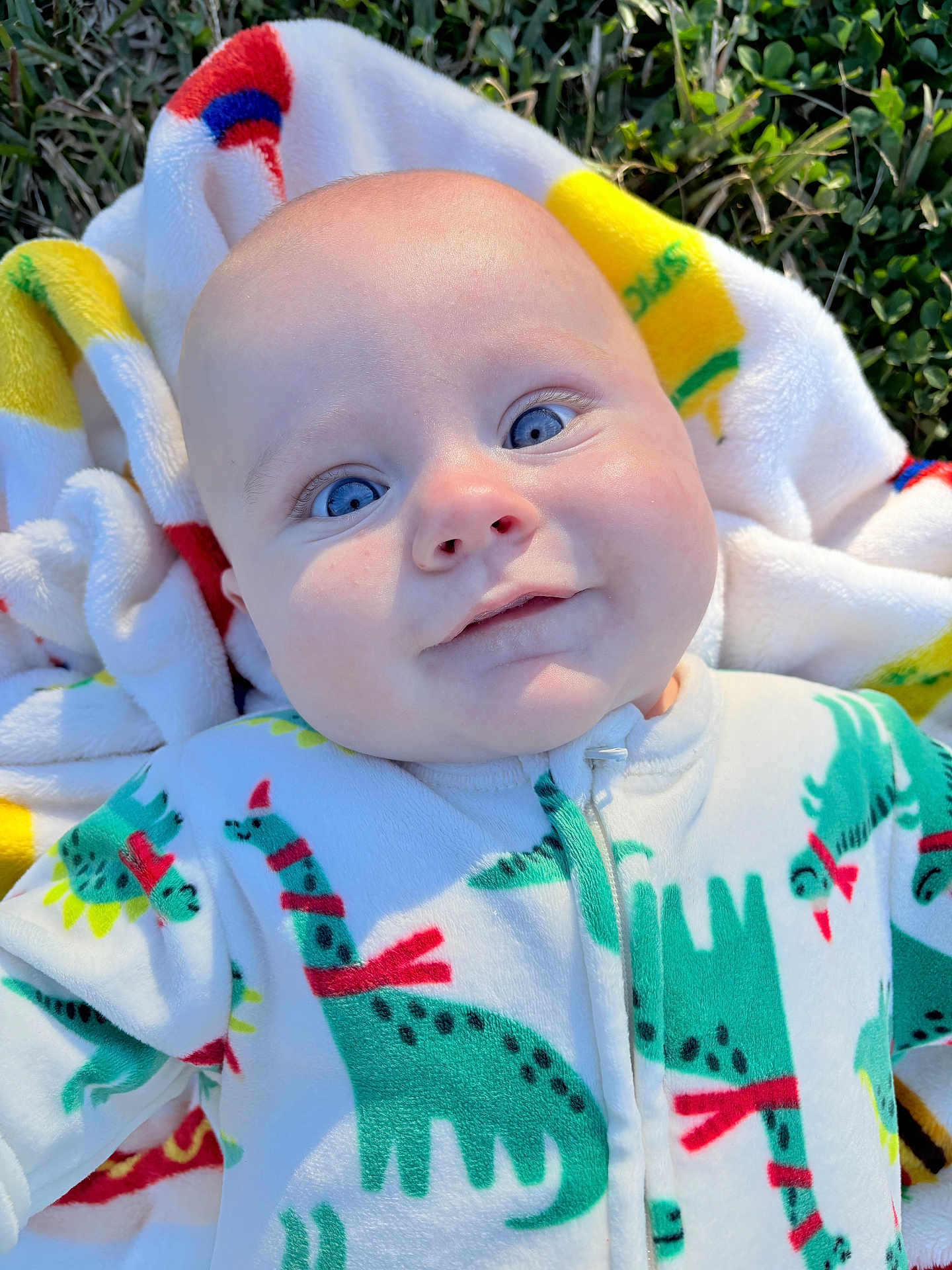 Brewer is registered to the contest to win money with this photo: baby, infant, blue_eyes, blanket, grass, outdoors, smiling, face, portrait, onesie, dinosaur_print, towel, cheek, skin, close_up, happy, cozy, sunlight, baby_clothes, head