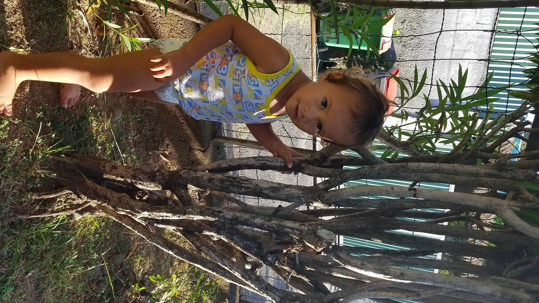Rahiti Namataoterai Isaac participe au concours pour gagner de l'argent avec cette photo : adaptation, arecales, baby, branch, child, fun, grass, happy, leisure, people_in_nature, person, plant, shorts, smile, soil, thigh, toddler, tree, trunk, twig