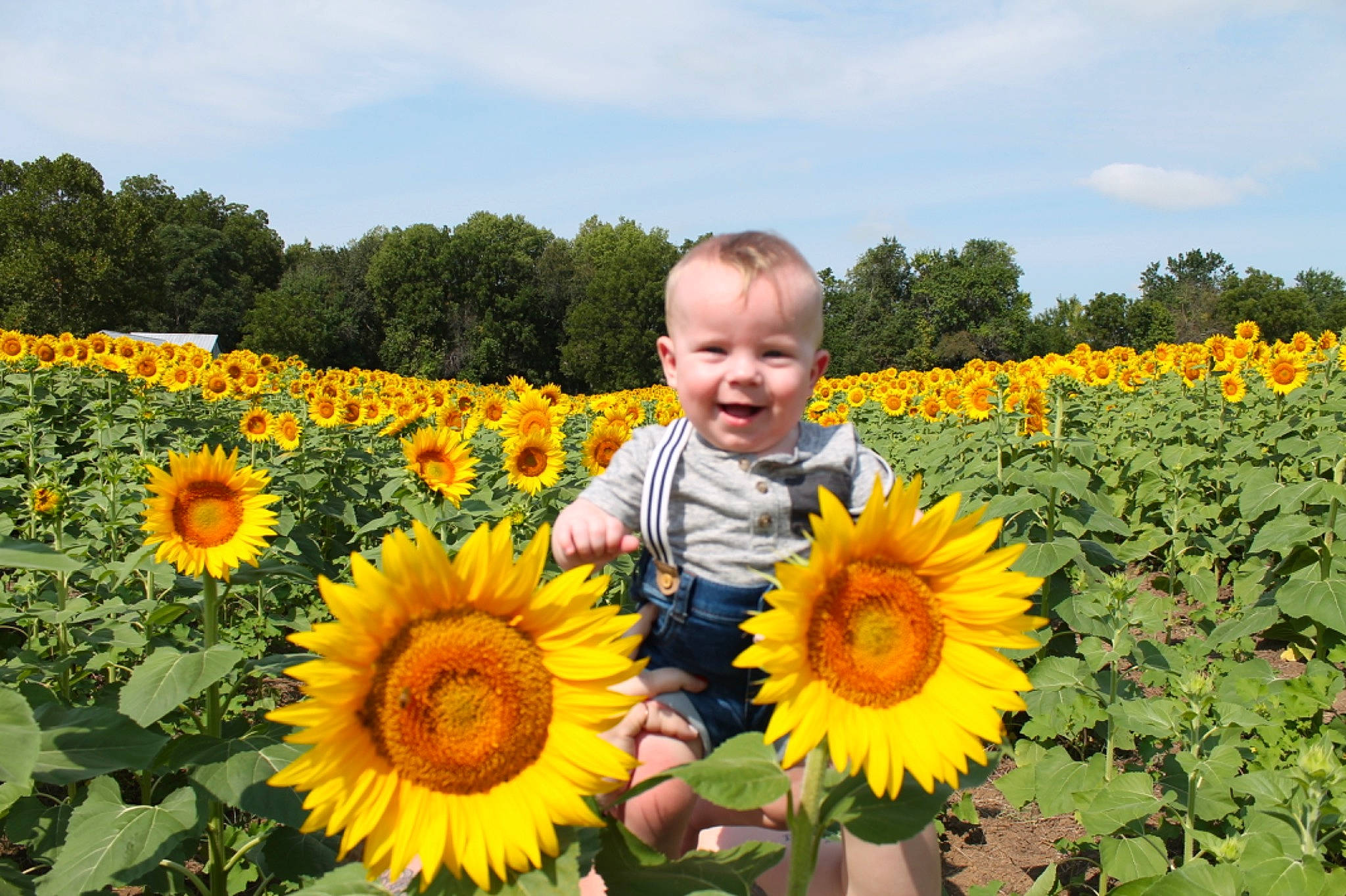 Alan joined the competition — help win amazing prizes! agriculture, botany, cloud, ecoregion, flower, grass, happy, joy, landscape, leaf, meadow, natural_environment, people_in_nature, person, petal, plant, rural_area, sky, smile, summer