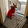 animal, brown_dog, christmas_outfit, costume, cozy, curious, dog, door, floor, glass_door, holiday, home, indoor, looking_back, pet, red_clothing, reindeer_antlers, rug, small_dog, wooden_fence
