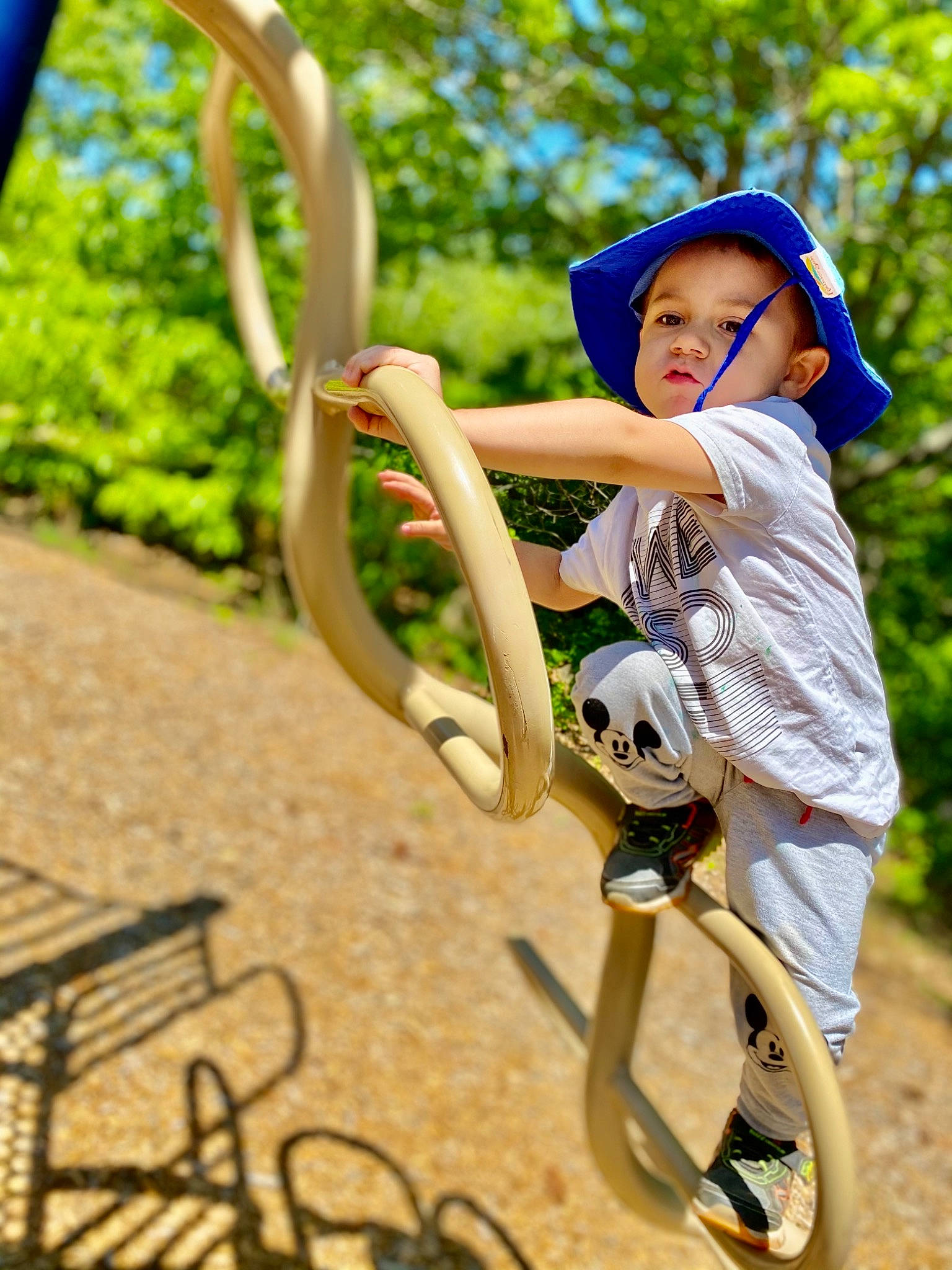 Colby joined the competition — help win amazing prizes! blue, city, cool, fun, grass, happy, hat, leisure, nature, outdoor_play_equipment, people_in_nature, person, playground, public_space, recreation, shorts, sunlight, swing, toddler, tree