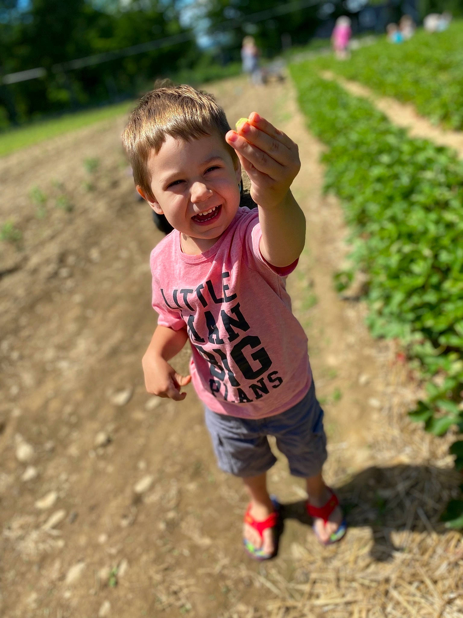 Colby joined the competition — help win amazing prizes! adaptation, child, finger, fun, grass, grassland, happy, joy, landscape, leisure, nature, people_in_nature, person, plant, recreation, shorts, smile, soil, t_shirt, toddler