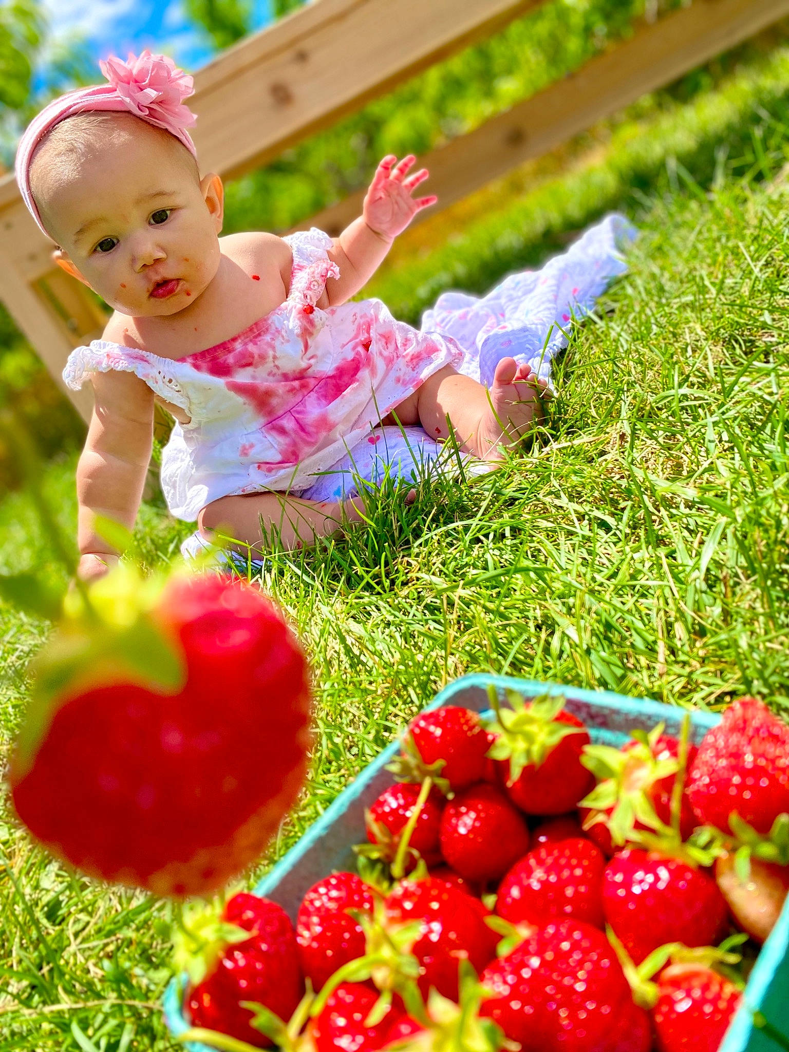 Victoria is registered to the contest to win money with this photo: baby, baby_toddler_clothing, berry, dress, food, fruit, grass, green, happy, leaf, natural_foods, people_in_nature, person, photograph, plant, red, seedless_fruit, strawberries, strawberry, superfood