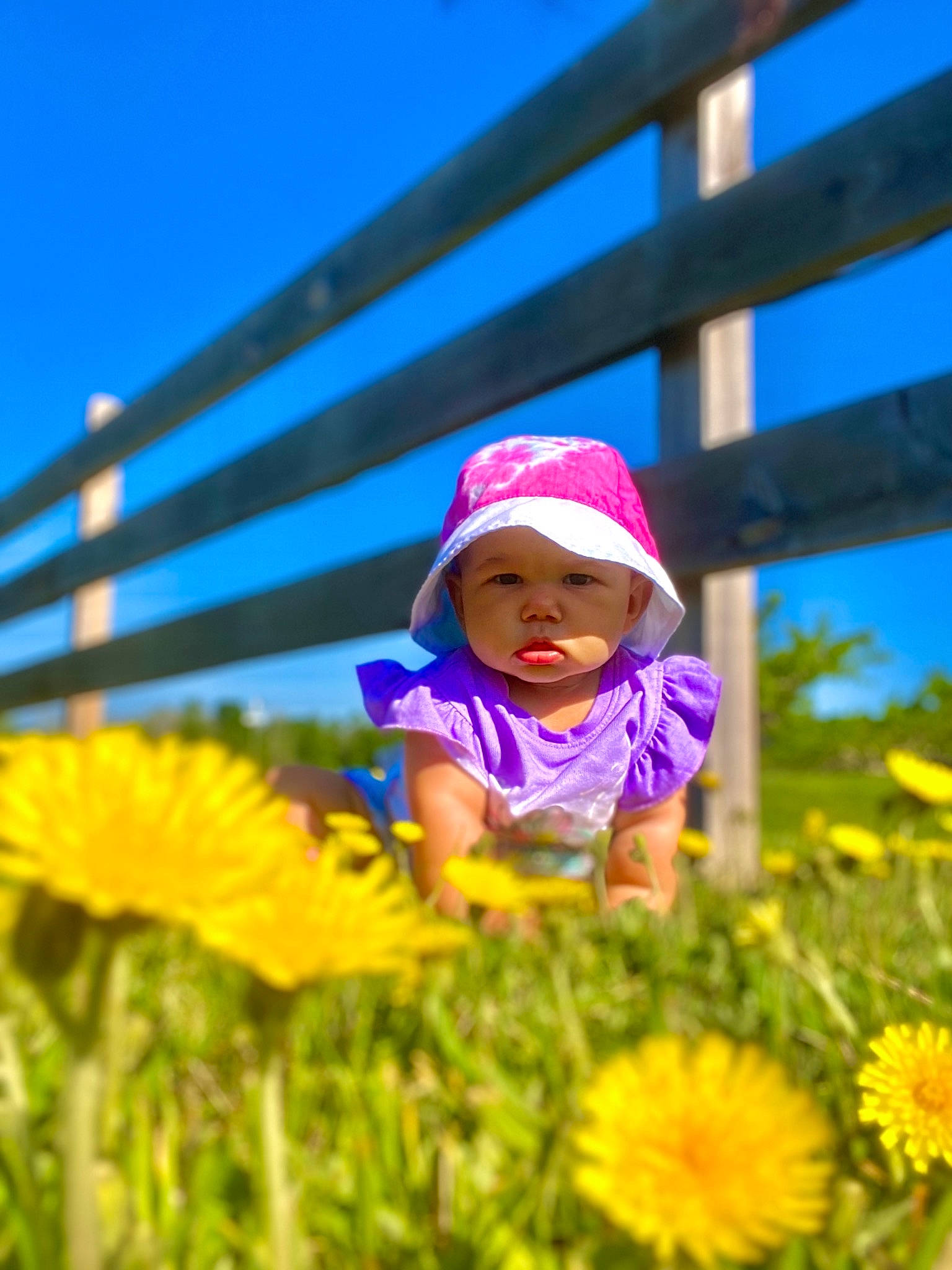 Victoria is registered to the contest to win money with this photo: baby_toddler_clothing, cap, daytime, flower, grass, grassland, happy, hat, headwear, landscape, morning, nature, people_in_nature, person, petal, photograph, plant, rural_area, sky, summer