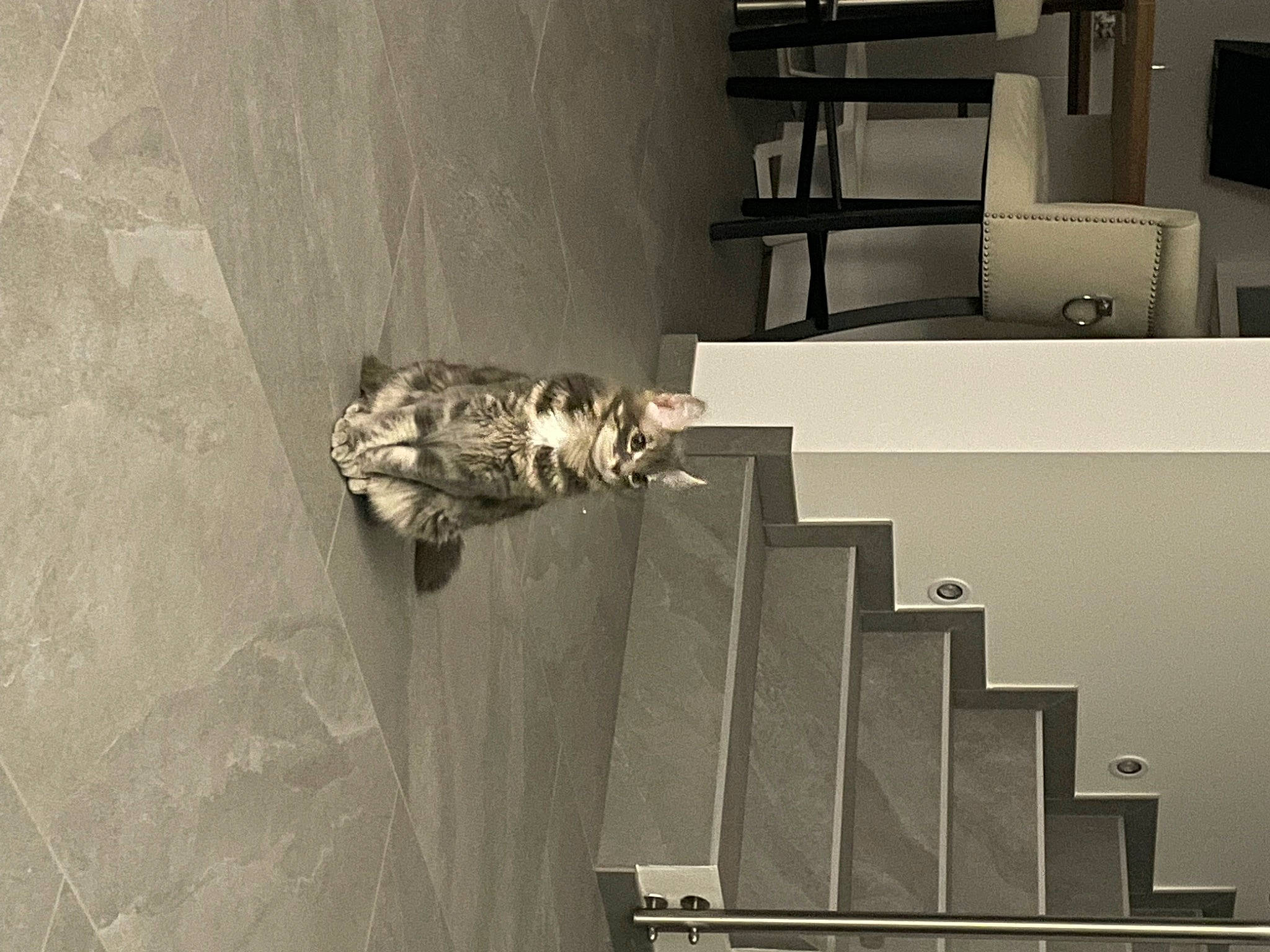 Salem a rejoint le concours — aidez-le/la à gagner de superbes lots ! art, building, facade, flooring, grey, house, material_property, metal, monochrome, monochrome_photography, rectangle, room, sculpture, shadow, shelf, shelving, space, stairs, visual_arts, wood