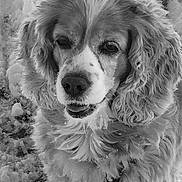 Bailey is registered to the contest to win money with this photo: