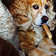 Bailey Rose joined the competition — help win amazing prizes!