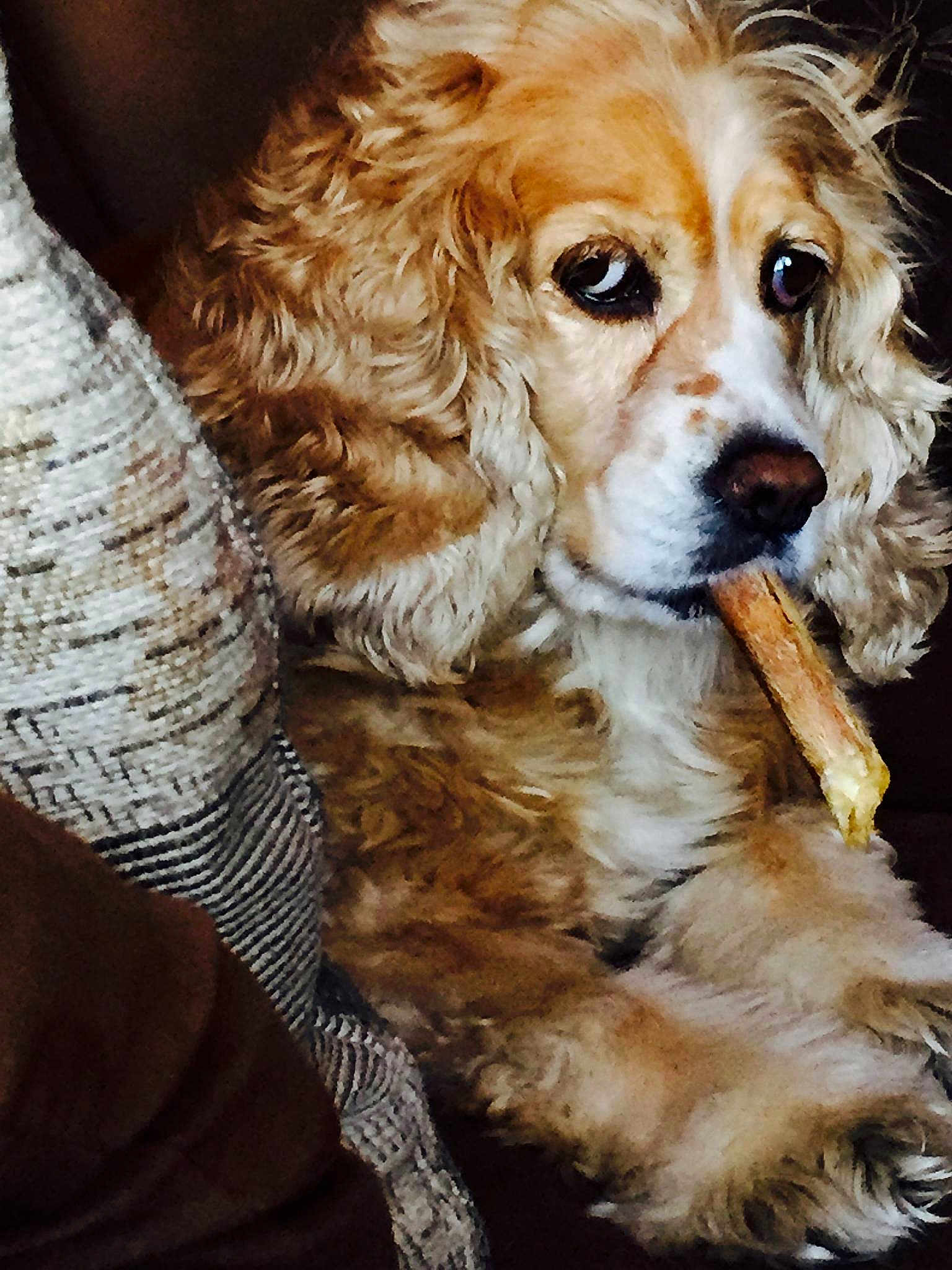 Bailey Rose joined the competition — help win amazing prizes!