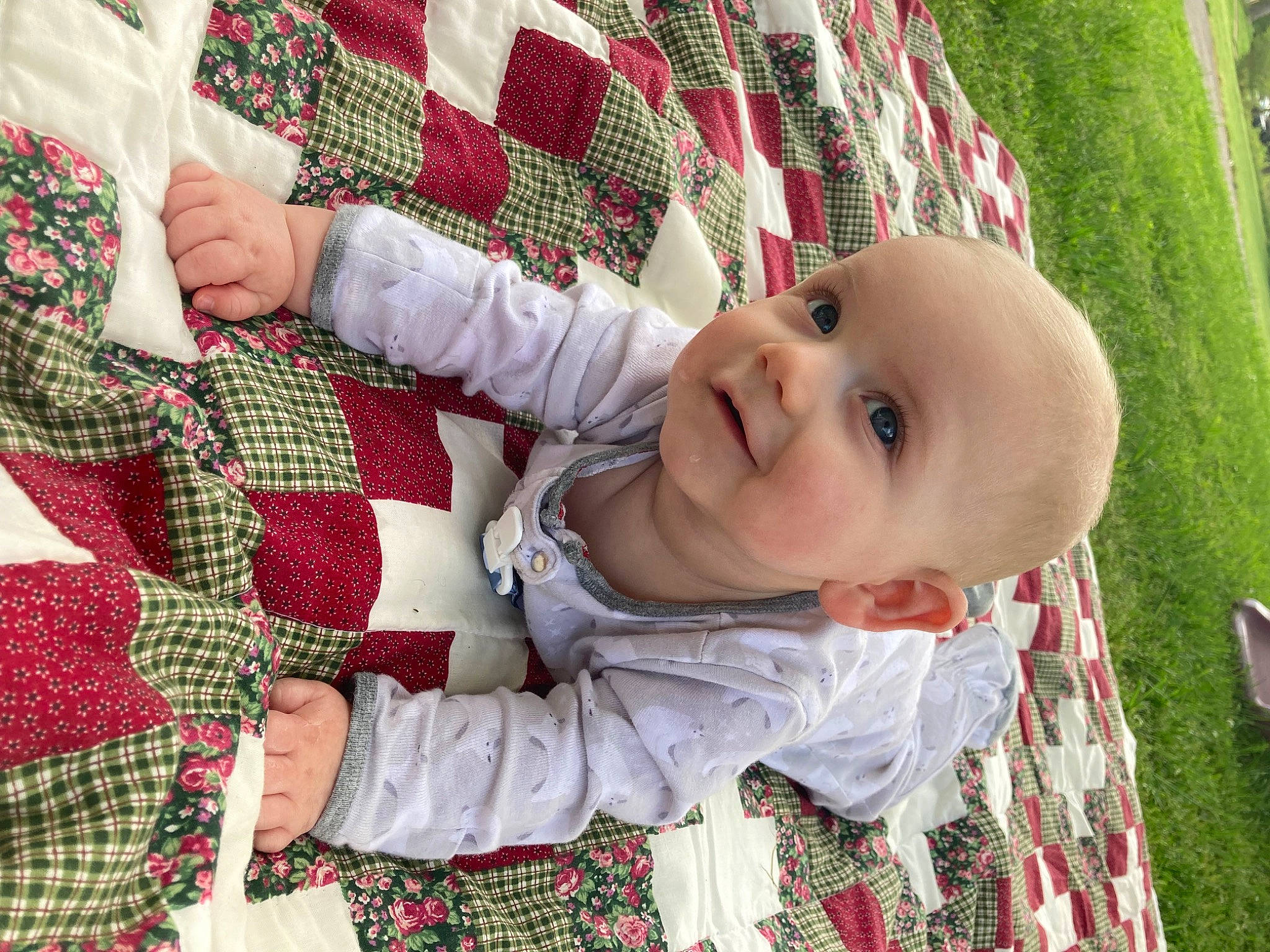 Linkin is registered to the contest to win money with this photo: baby, baby_toddler_clothing, child, eye, face, green, hand, happy, head, pattern, person, plaid, plant, red, sleeve, smile, tartan, textile, toddler, tree