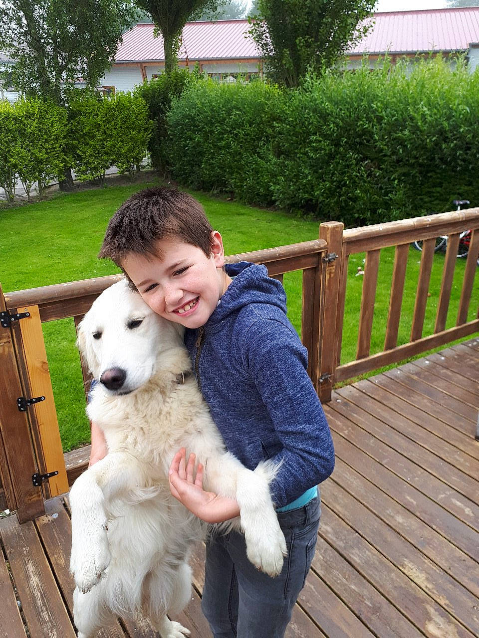 Nina participe au concours pour gagner de l'argent avec cette photo : berger_blanc_suisse, canidae, carnivore, companion_dog, dog, dog_breed, fur, golden_retriever, great_pyrenees, joy, kuvasz, livestock_guardian_dog, mammal, maremma_sheepdog, mucuchies, person, polish_tatra_sheepdog, rare_breed_dog, slovak_cuvac, sporting_group