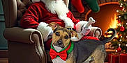 Dixie joined the competition — help win amazing prizes! armchair, beard, carpet, christmas_decorations, christmas_stockings, christmas_tree, dog, festive, fireplace, gift_boxes, glasses, holiday, holiday_spirit, indoors, red_bow_tie, red_suit, santa_claus, smiling_dog, warm_lighting, white_fur_trim