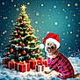 Piper is registered to the contest to win money with this photo: celebration, christmas_tree, cute, decorations, dog, festive, gift_wrap, holiday, indoors, lights, ornaments, pet, plaid, presents, red_clothing, santa_hat, snow, snowflakes, star, winter