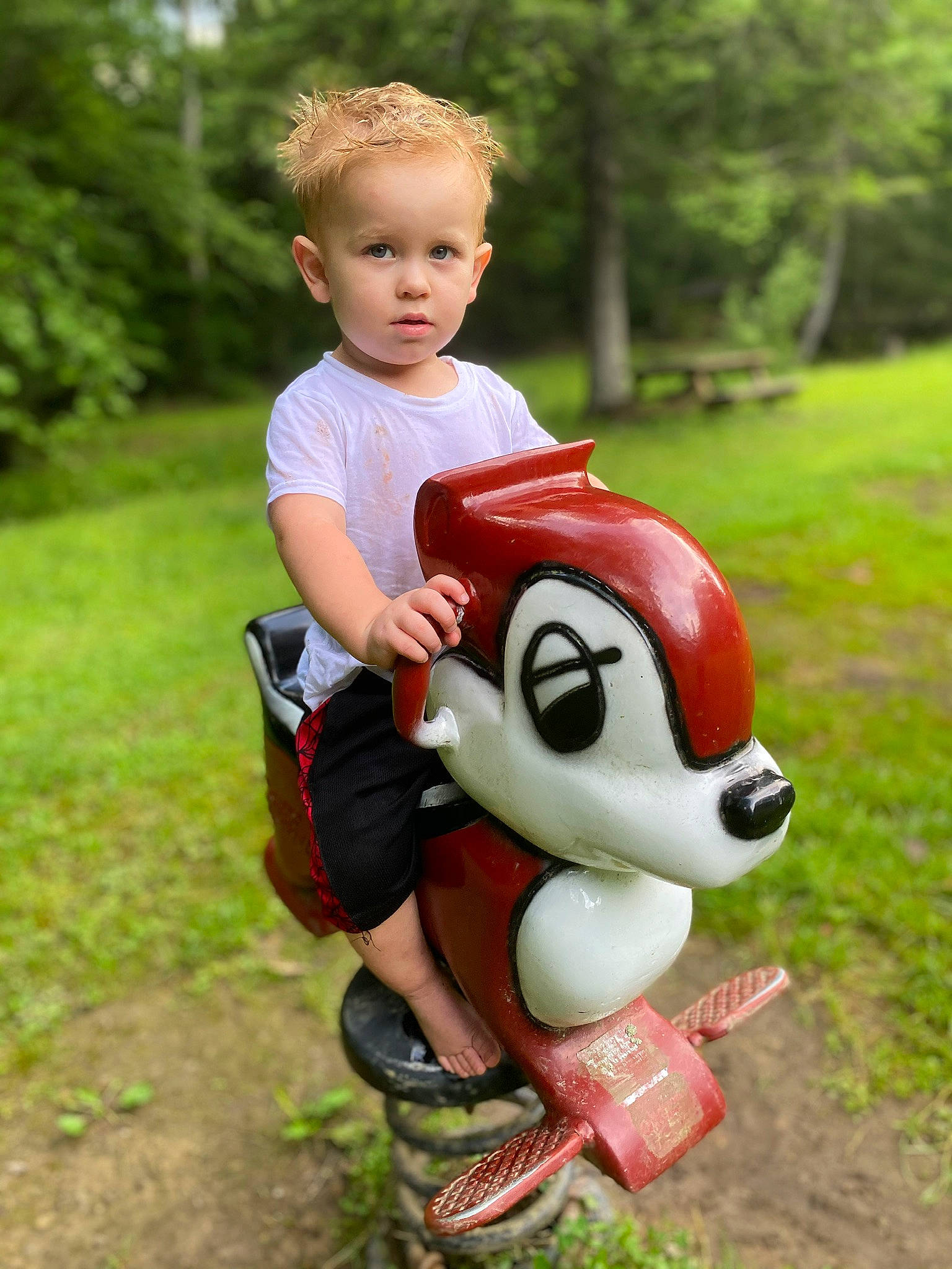 Arlis joined the competition — help win amazing prizes! child, fun, lawn_ornament, person, play, riding_toy, toddler, toy