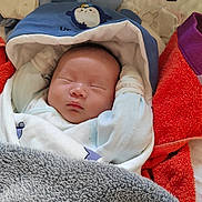 Remi a rejoint le concours — aidez-le/la à gagner de superbes lots ! baby, blanket, child, clothing, cozy, cushion, cute, face, head, hood, indoor, infant, peaceful, penguin, rest, sleeping, soft, towel, warm, wrapped